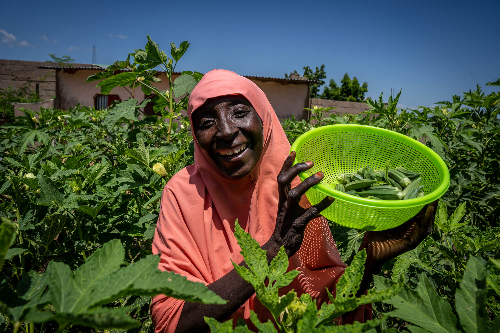 Fati Garba holds some of the okra she grows on her farmland.